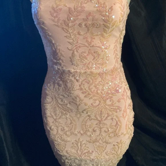 Windsor Blush Sequin Embellished Dress - Picture 2 of 8